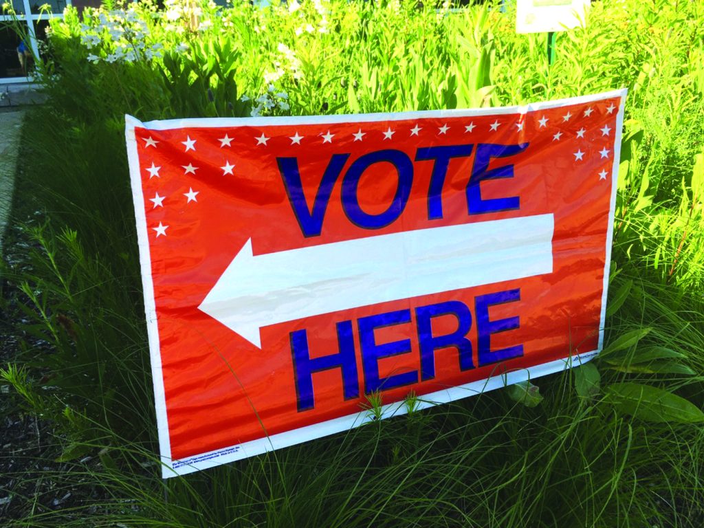 Now is a good time to vote: Light turnout for primary election means ...